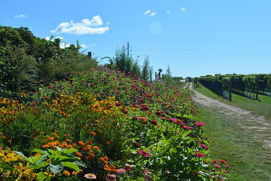 Tour image 8